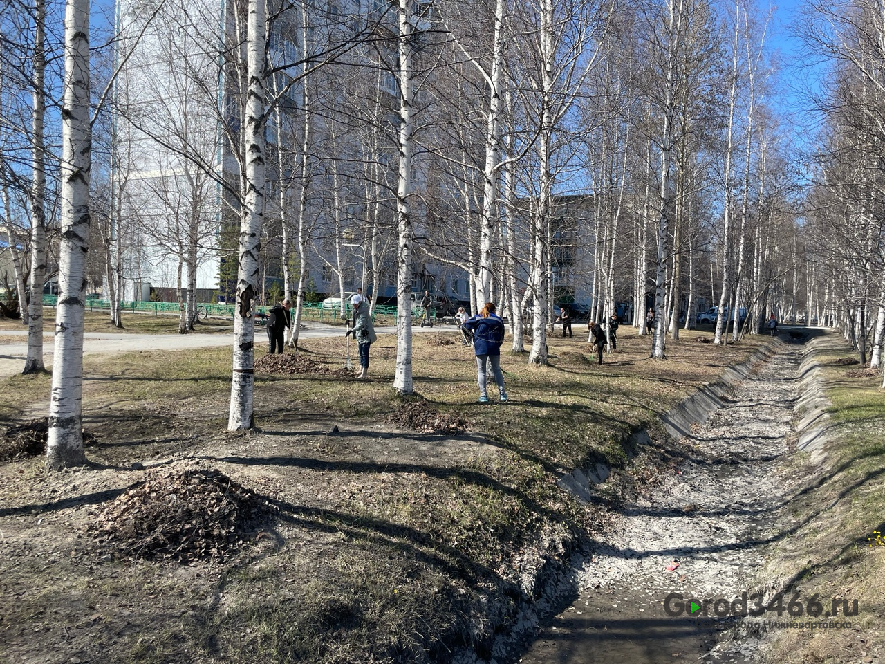 Жители Нижневартовска убирают мусор и листву с улиц | 22.05.2024 |  Нижневартовск - БезФормата