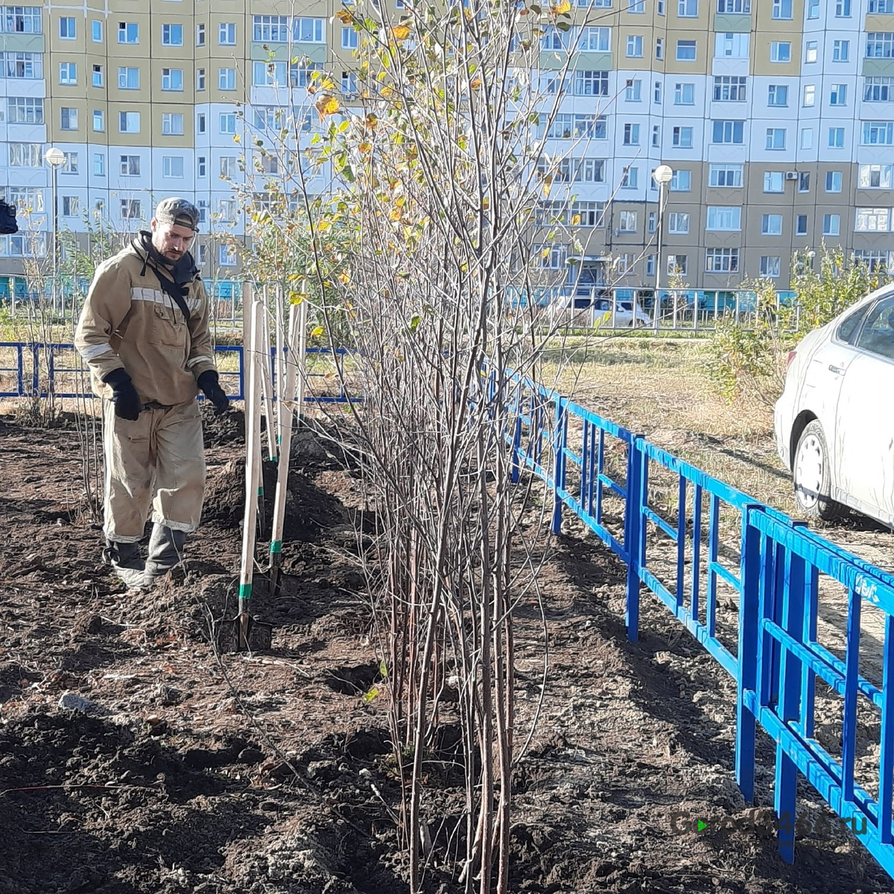 В Нижневартовске в рамках Всероссийского субботника «Зеленая Россия»  состоялось озеленение территории возле новой спортплощадки | 30.09.2022 |  Нижневартовск - БезФормата