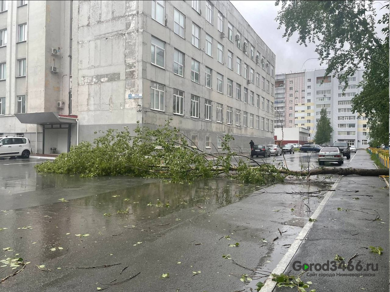 В Сургуте бушует ветер, экстренные службы перевели на усиленный режим