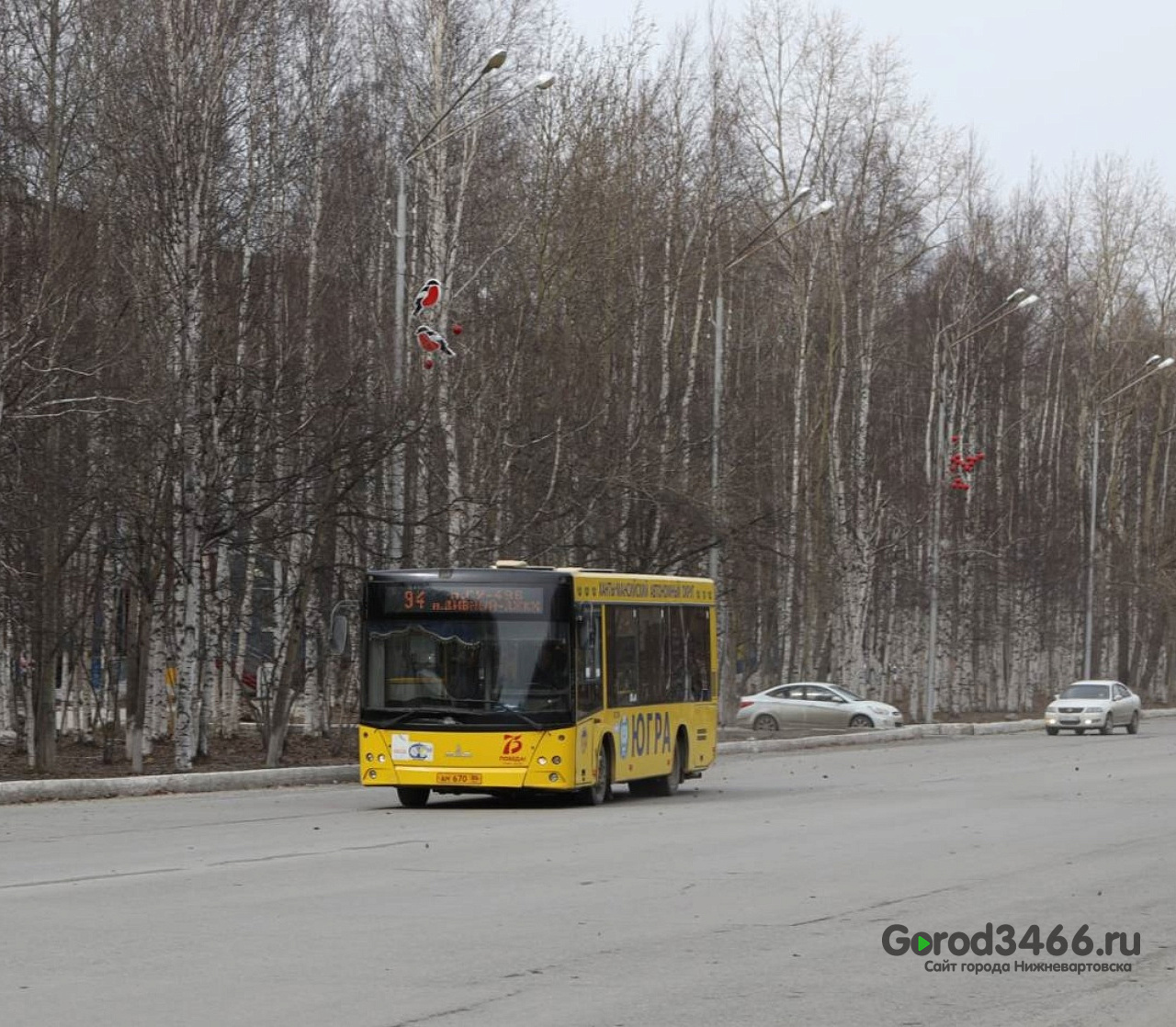 В Нижневартовске запустят бесплатные автобусы на Радоницу