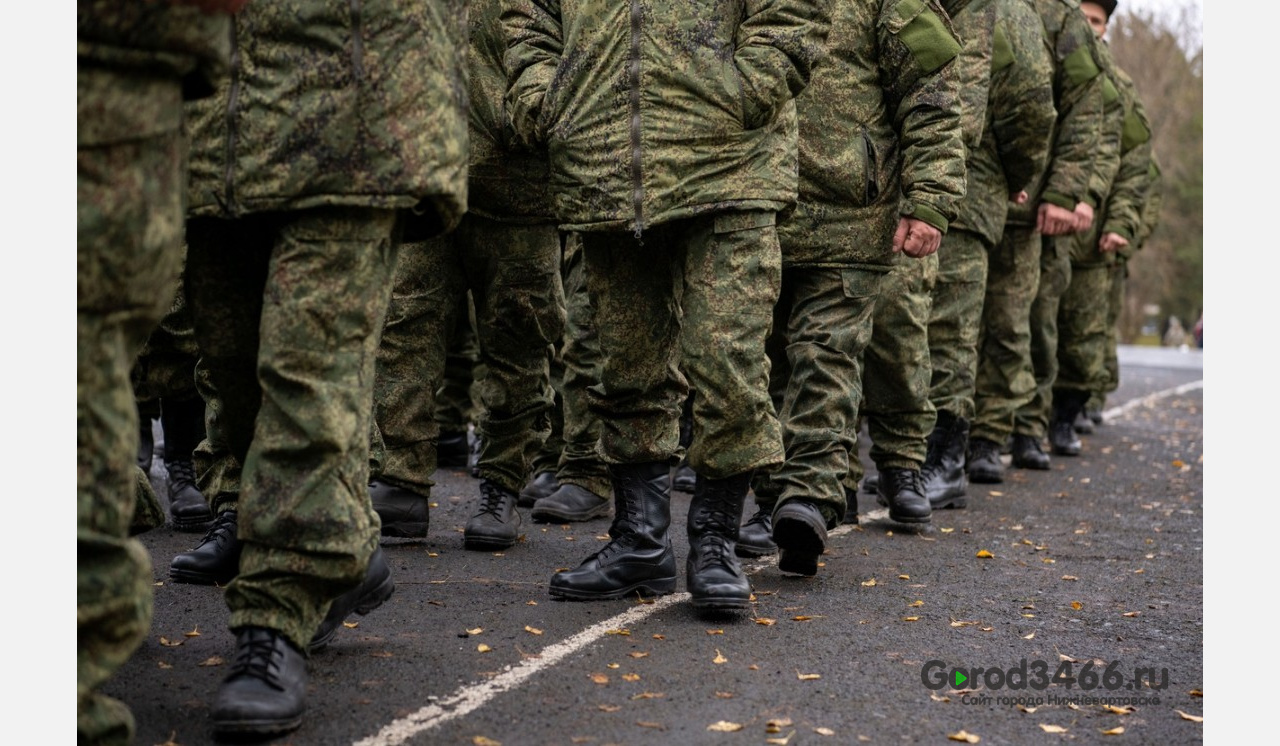 Больше всего жалоб на ошибки по мобилизации поступило от вартовчан